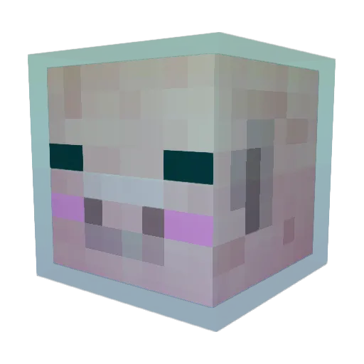 Sh1n1101 Minecraft avatar head, 3D render