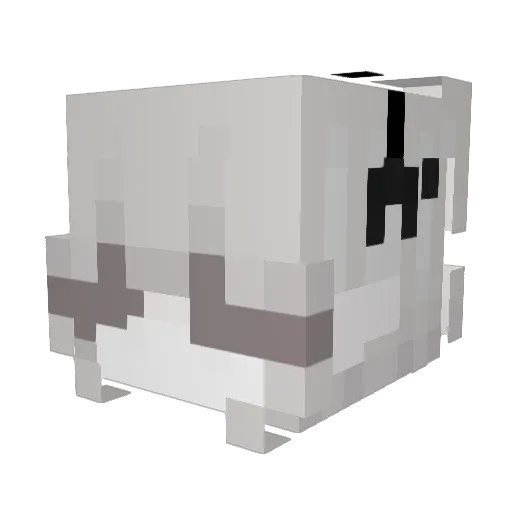 Sh1naa Minecraft avatar head, 3D render