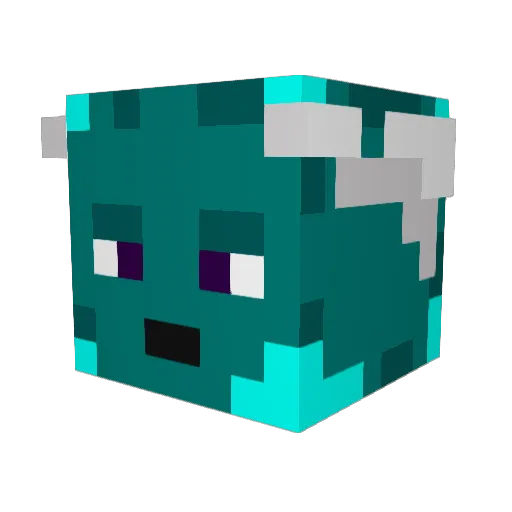 Sh1nshilka Minecraft avatar head, 3D render