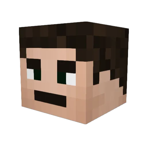 Sh1t_0n_Bots Minecraft avatar head, 3D render