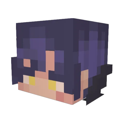 Sh1zuh31 Minecraft avatar head, 3D render