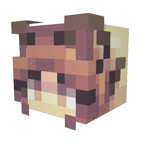 Sh33ps Minecraft avatar head, 3D render