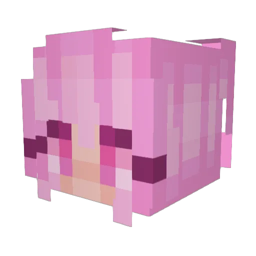 Sh34d0w Minecraft avatar head, 3D render