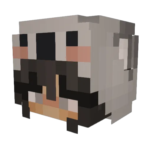 Sh3rbertHoodie Minecraft avatar head, 3D render