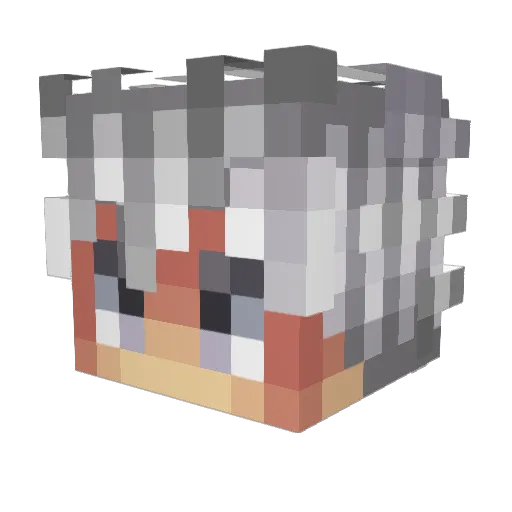 Sh44doW3k Minecraft avatar head, 3D render