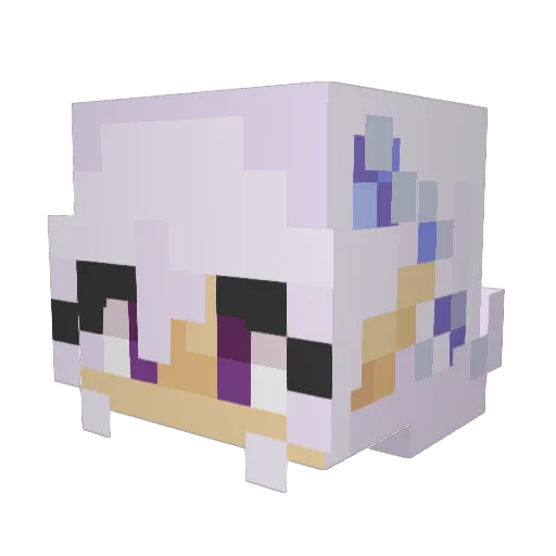 Sh4K3iiT Minecraft avatar head, 3D render