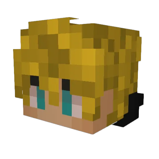 Sh4d0wF0x007 Minecraft avatar head, 3D render