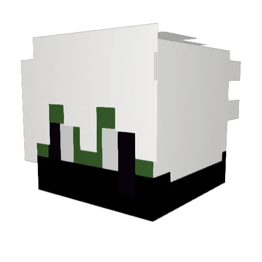 Sh4deCould Minecraft avatar head, 3D render