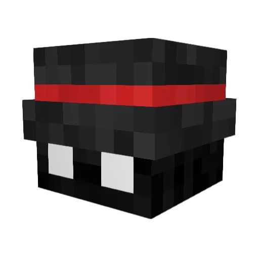 Sh4dow8661 Minecraft avatar head, 3D render
