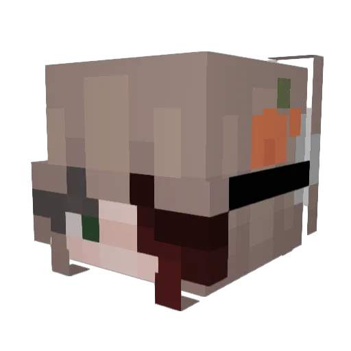Sh4dowGirl_ Minecraft avatar head, 3D render