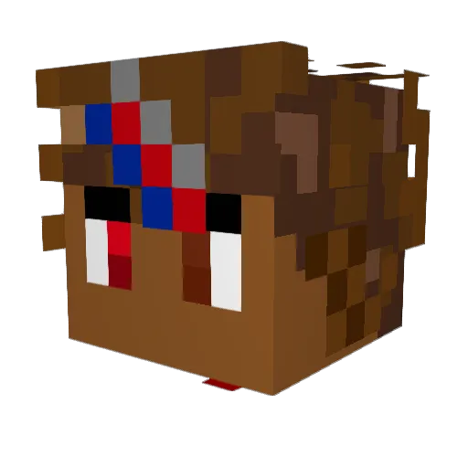 Sh4dow_Ablaze Minecraft avatar head, 3D render