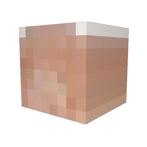 Sh4downite Minecraft avatar head, 3D render