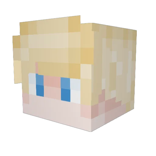 Sh4dows1576 Minecraft avatar head, 3D render