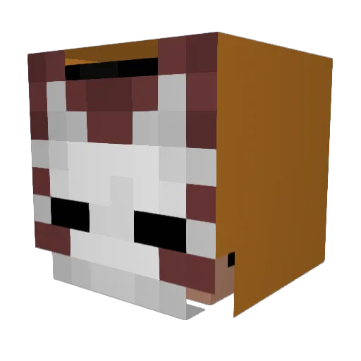 Sh4ko99 Minecraft avatar head, 3D render
