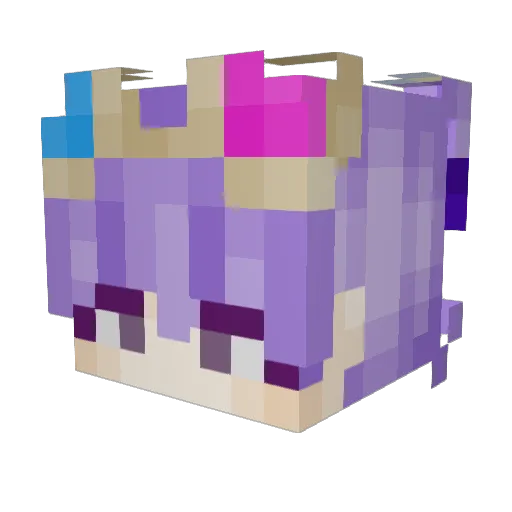 Sh4rkF1NN Minecraft avatar head, 3D render