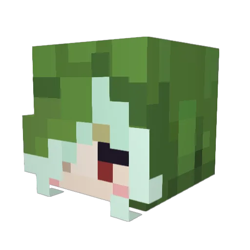 Sh4rkPunk Minecraft avatar head, 3D render
