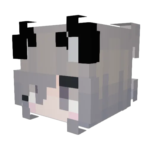 Sh4rkzy Minecraft avatar head, 3D render