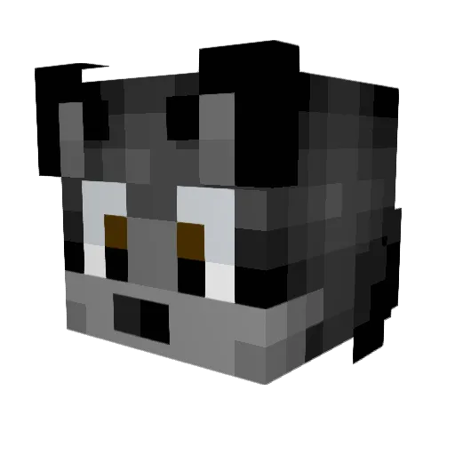 Sh4wn9906 Minecraft avatar head, 3D render