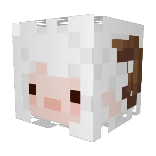 Sh8rky_ Minecraft avatar head, 3D render