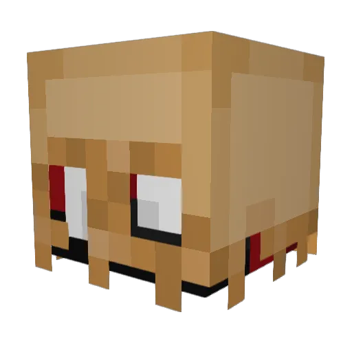 ShAd0W_o5 Minecraft avatar head, 3D render