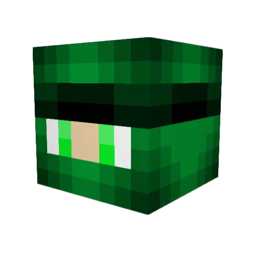 ShTenebris Minecraft avatar head, 3D render