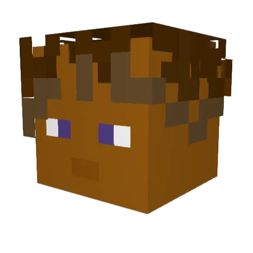 Sha1dy Minecraft avatar head, 3D render