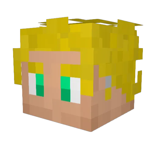 ShaHoops Minecraft avatar head, 3D render