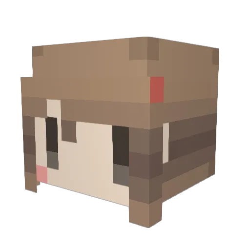 ShaPenKa Minecraft avatar head, 3D render
