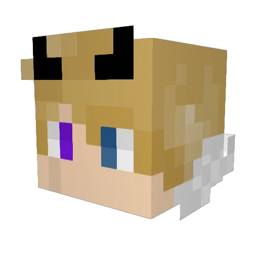 ShaRkyz25 Minecraft avatar head, 3D render