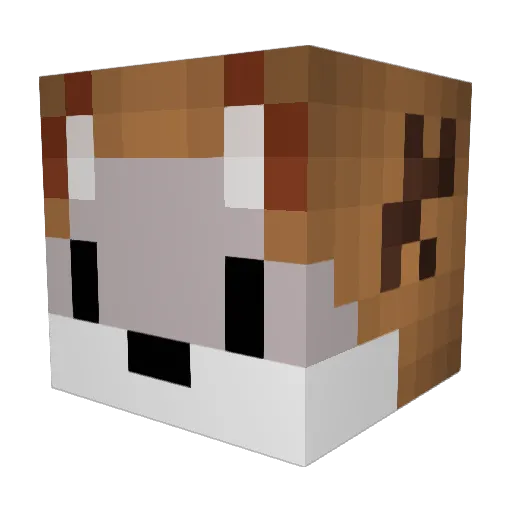 Sha_doe Minecraft avatar head, 3D render