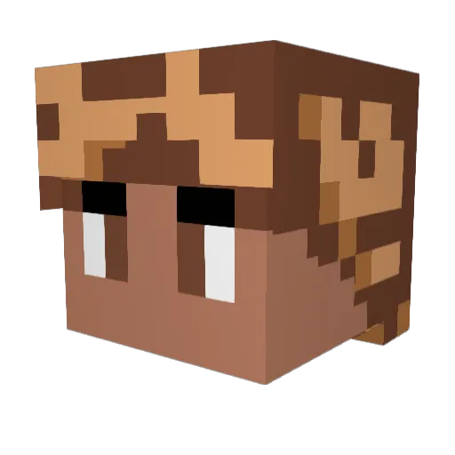Shaakko Minecraft avatar head, 3D render