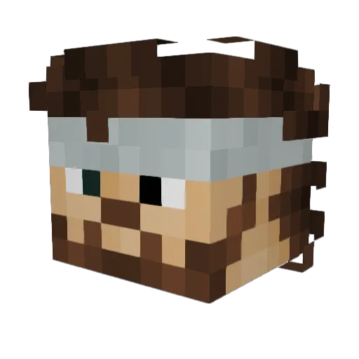Shaayn Minecraft avatar head, 3D render