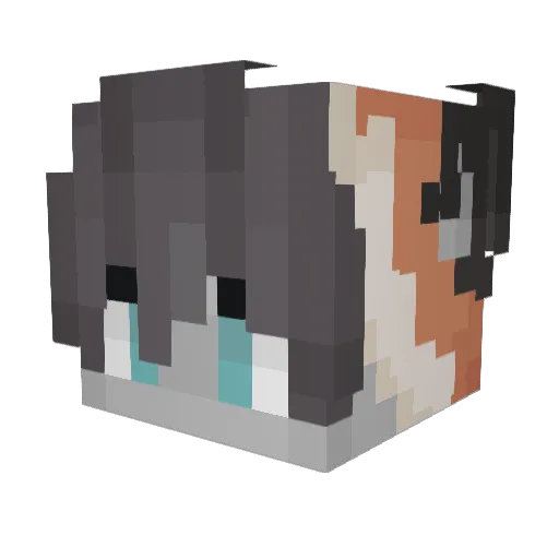 Shabba84 Minecraft avatar head, 3D render