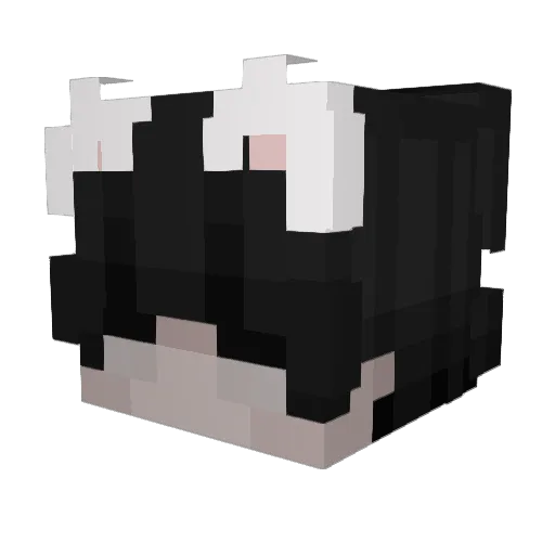 ShabbyTissue Minecraft avatar head, 3D render