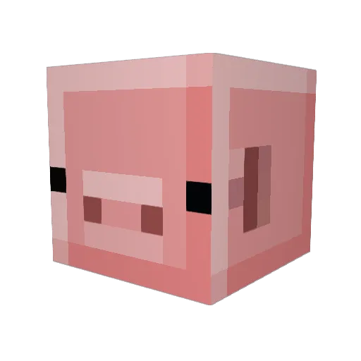 Shabbythefatcat Minecraft avatar head, 3D render
