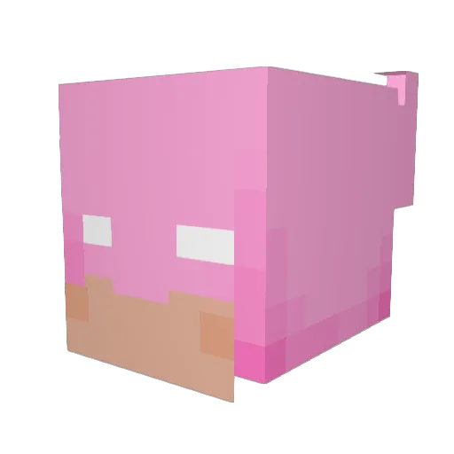 ShaboBird Minecraft avatar head, 3D render
