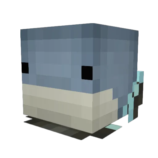 Shachi_ Minecraft avatar head, 3D render