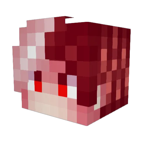Shachibymi Minecraft avatar head, 3D render