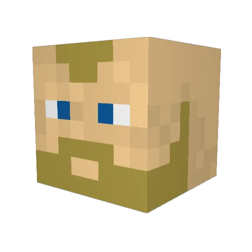 Shacklton Minecraft avatar head, 3D render