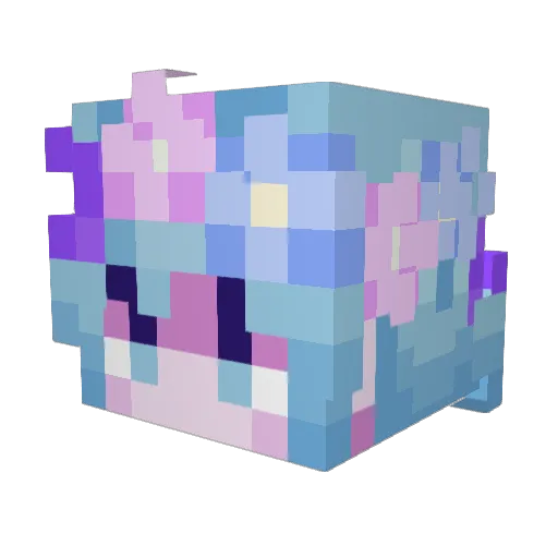 Shackly419 Minecraft avatar head, 3D render
