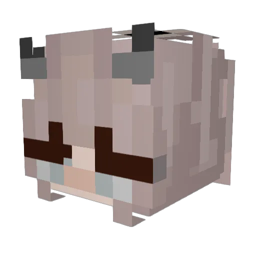 Shad0wAnnie Minecraft avatar head, 3D render