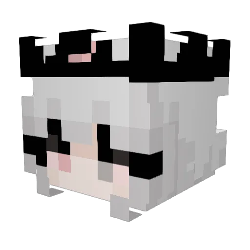 Shad0wQueen Minecraft avatar head, 3D render