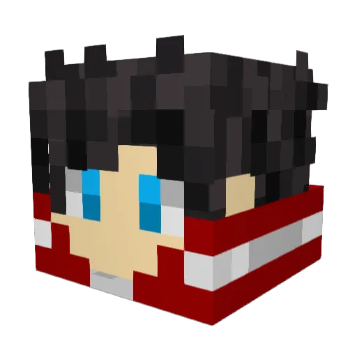 Shad0wjr Minecraft avatar head, 3D render