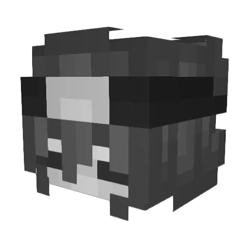 Shad_Destini Minecraft avatar head, 3D render