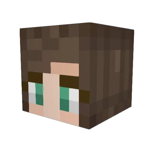 Shaddowave Minecraft avatar head, 3D render