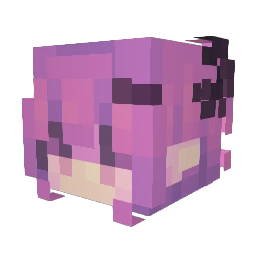 Shade4193 Minecraft avatar head, 3D render