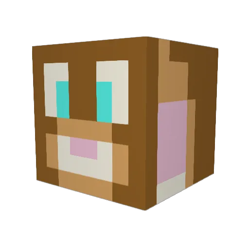 ShadeFawks Minecraft avatar head, 3D render