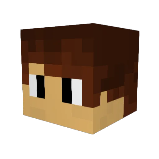 Shadeiii Minecraft avatar head, 3D render