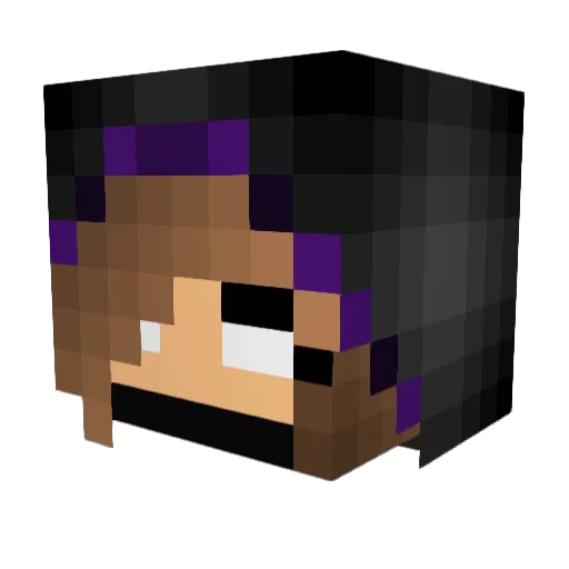 ShadenD4 Minecraft avatar head, 3D render