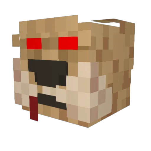 Shades69 Minecraft avatar head, 3D render